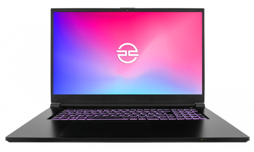 Gemaakt om te onthouden rand Zin PCSPECIALIST - 17 inch Laptops